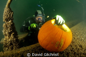 Diver concentrates on carving a pumpkin at the Welland Sc... by David Gilchrist 